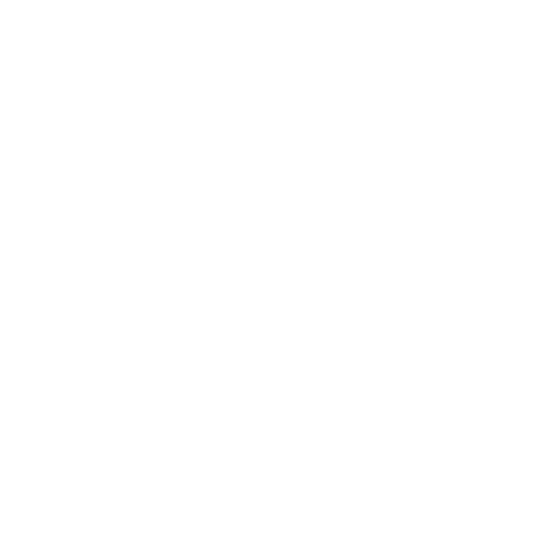 Skiddle logo